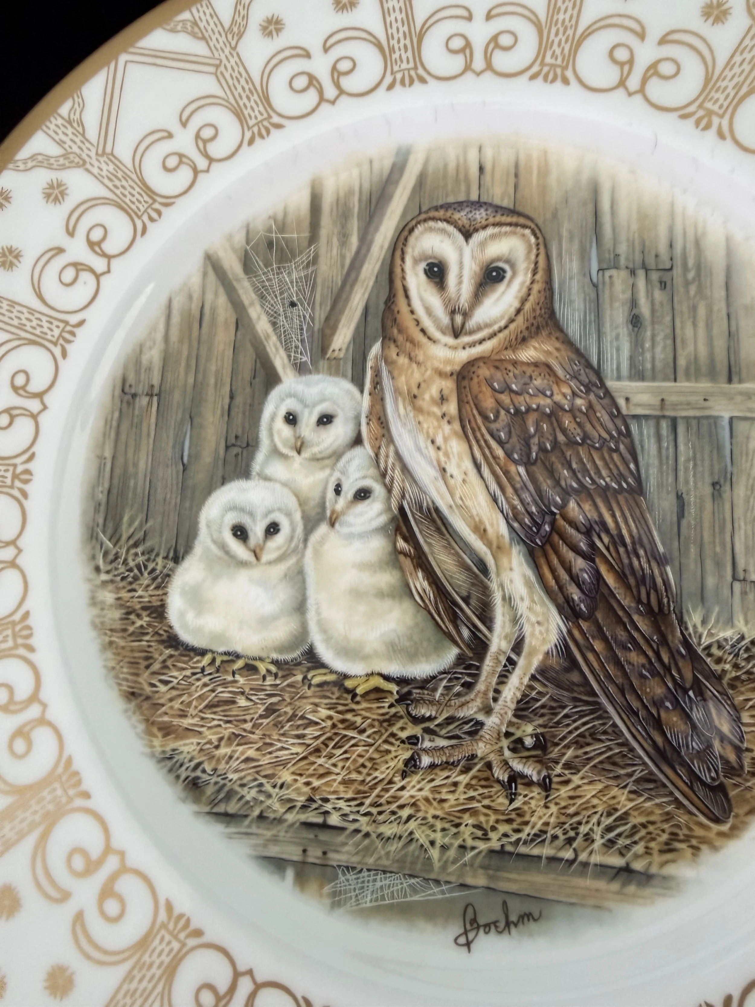 Elegant fine china sets | Lenox, Wedgwood, Spode and more — Fine